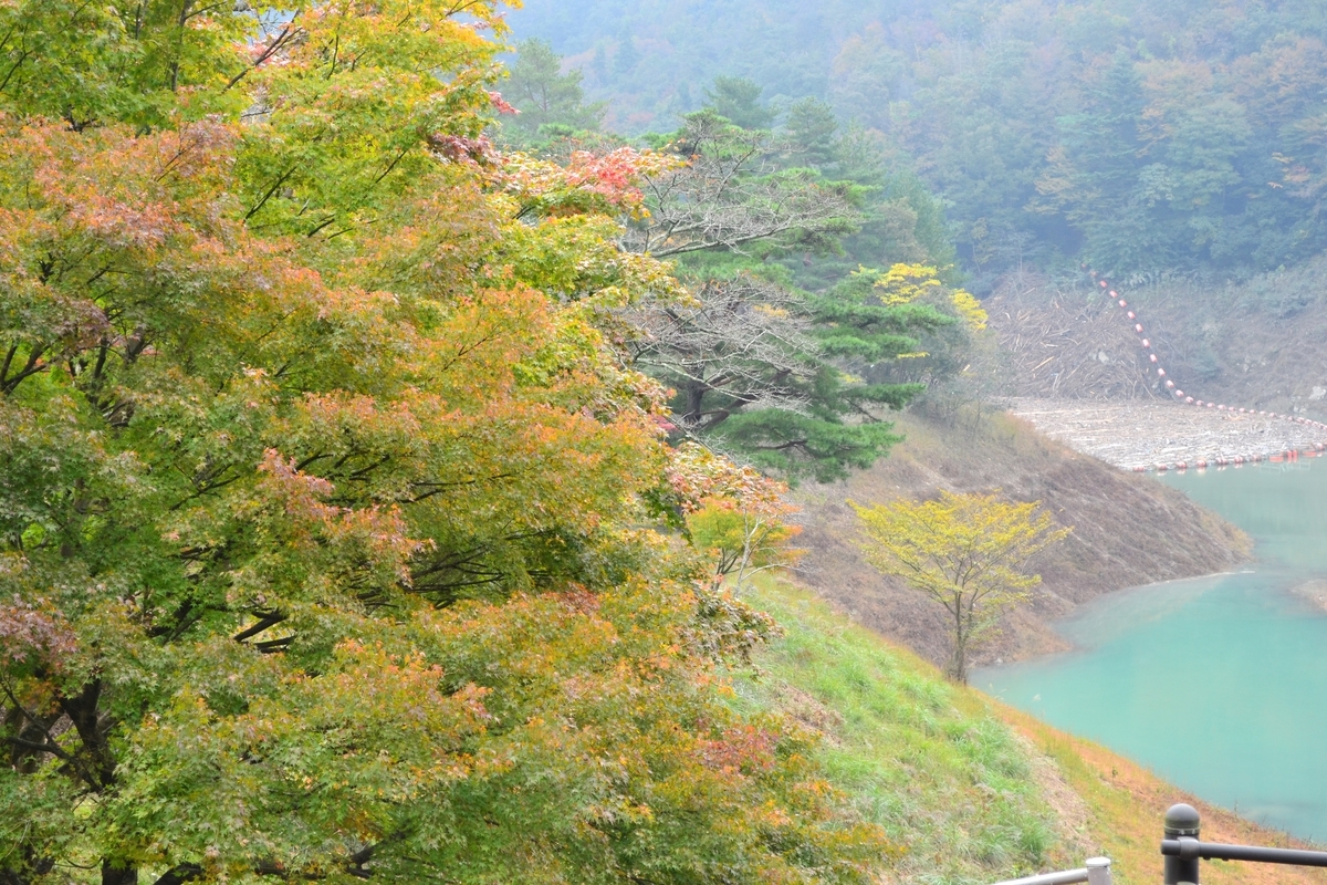 大野ダム公園の紅葉 色づきはじめ 2017年11月3日 撮影:MKタクシー