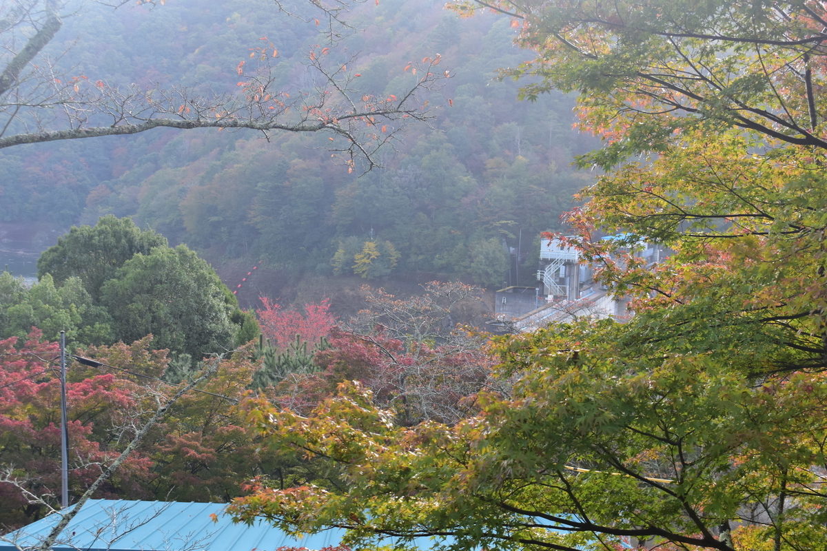 大野ダムの紅葉　色づきはじめ　2017年11月3日　撮影：MKタクシー