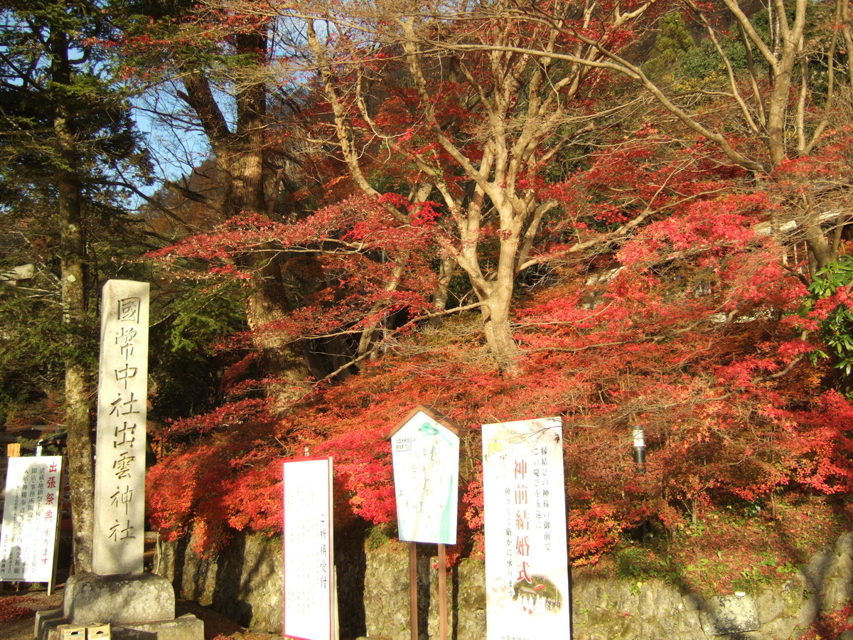 出雲大神宮　紅葉　散りはじめ　2011年1249日　撮影：MKタクシー