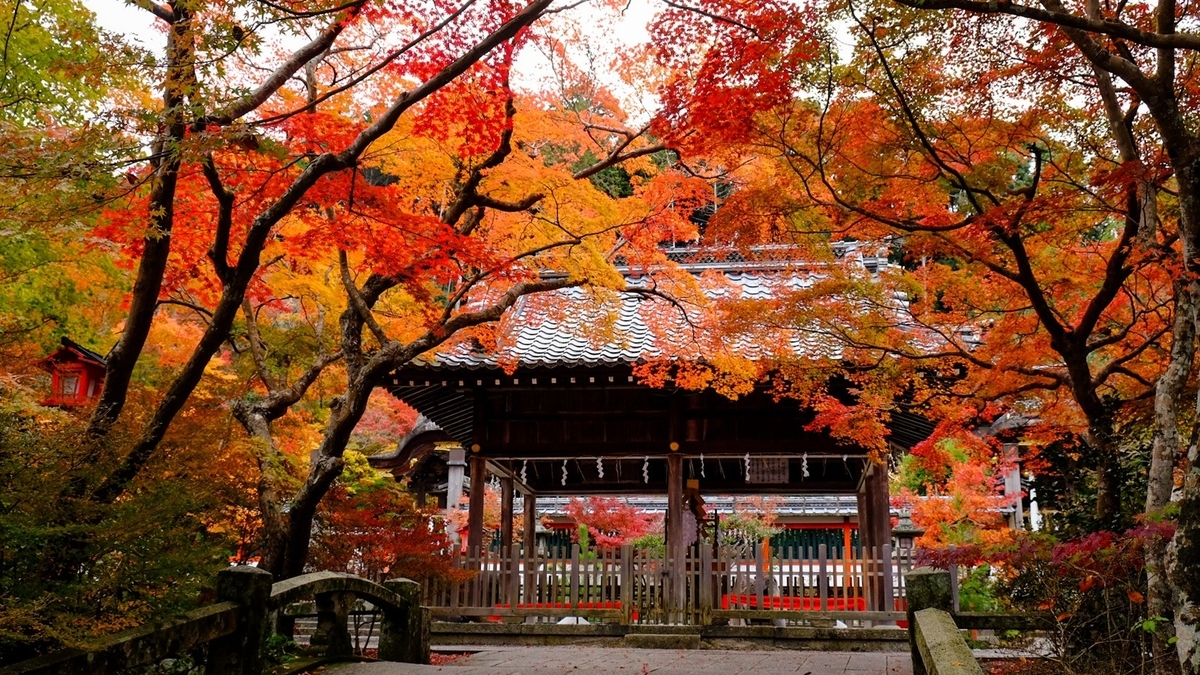 鍬山神社の紅葉 見頃 2016年11月11日 撮影:MKタクシー