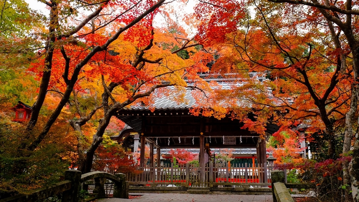 鍬山神社の紅葉　見頃　2016年11月11日　撮影：MKタクシー