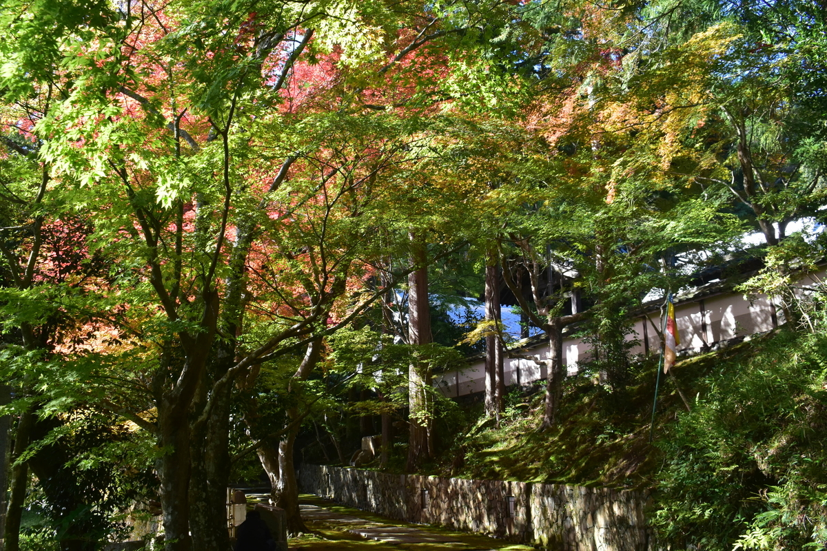 苗秀寺　紅葉　見頃近し　2019年11月9日　撮影：MKタクシー