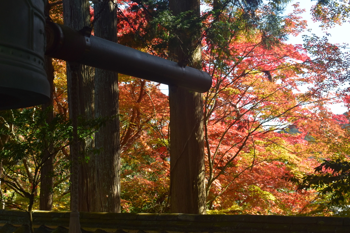 苗秀寺 紅葉 見頃近し 2019年11月9日 撮影:MKタクシー