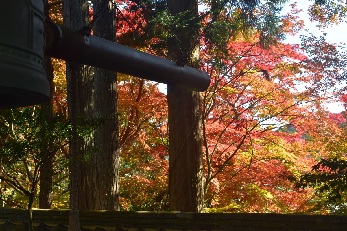 苗秀寺　紅葉　見頃近し　2019年11月9日　撮影：MKタクシー