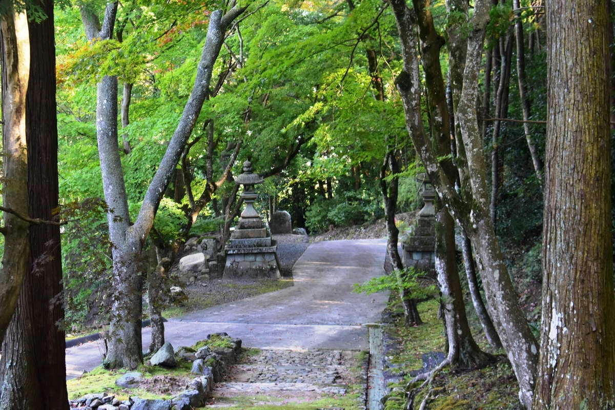 積善寺・参道の紅葉 色づきはじめ 2019年11月9日 撮影:MKタクシー