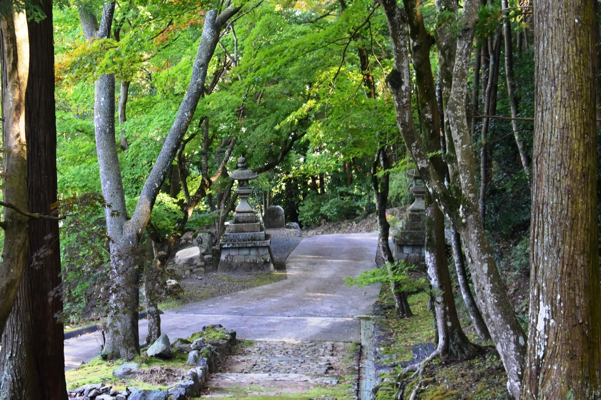 積善寺・参道の紅葉　色づきはじめ　2019年11月9日　撮影：MKタクシー