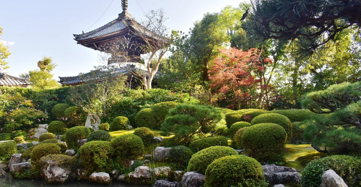 穴太寺・庭園の紅葉 色づきはじめ 2019年11月9日 撮影:MKタクシー