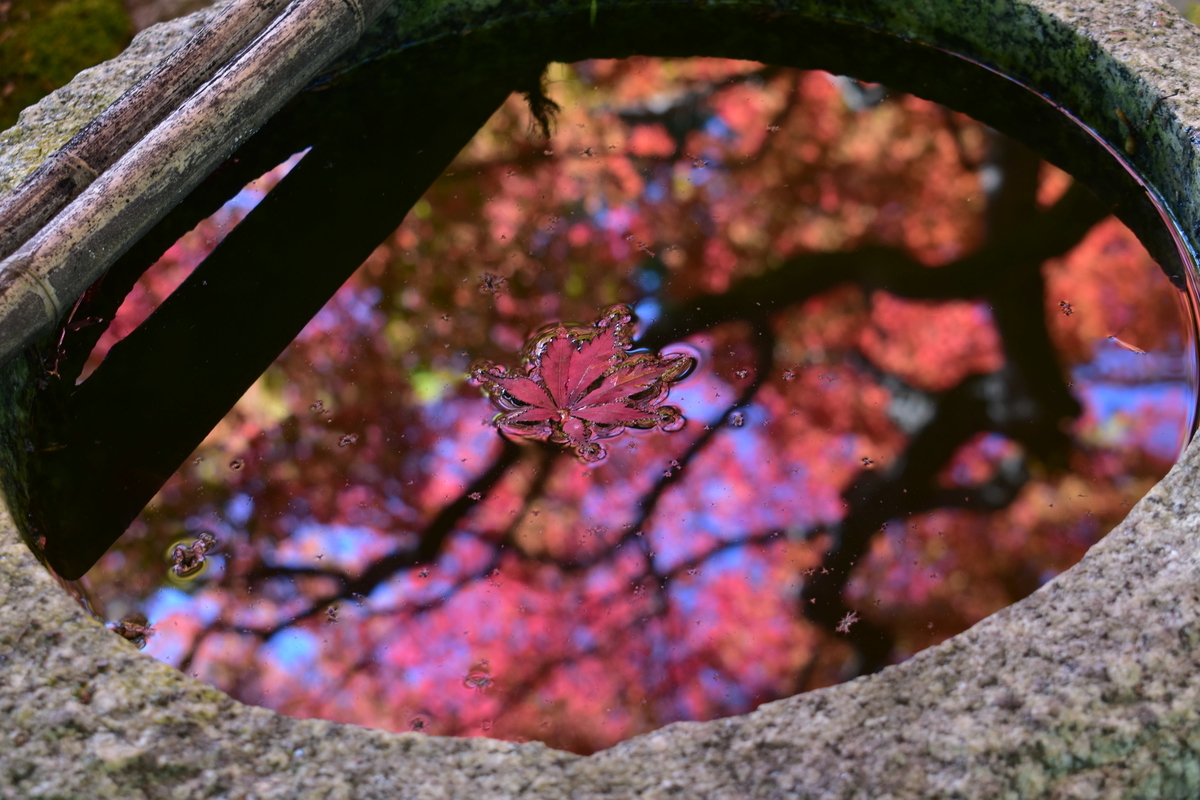 苗秀寺の手水鉢 2019年11月9日 撮影:MKタクシー