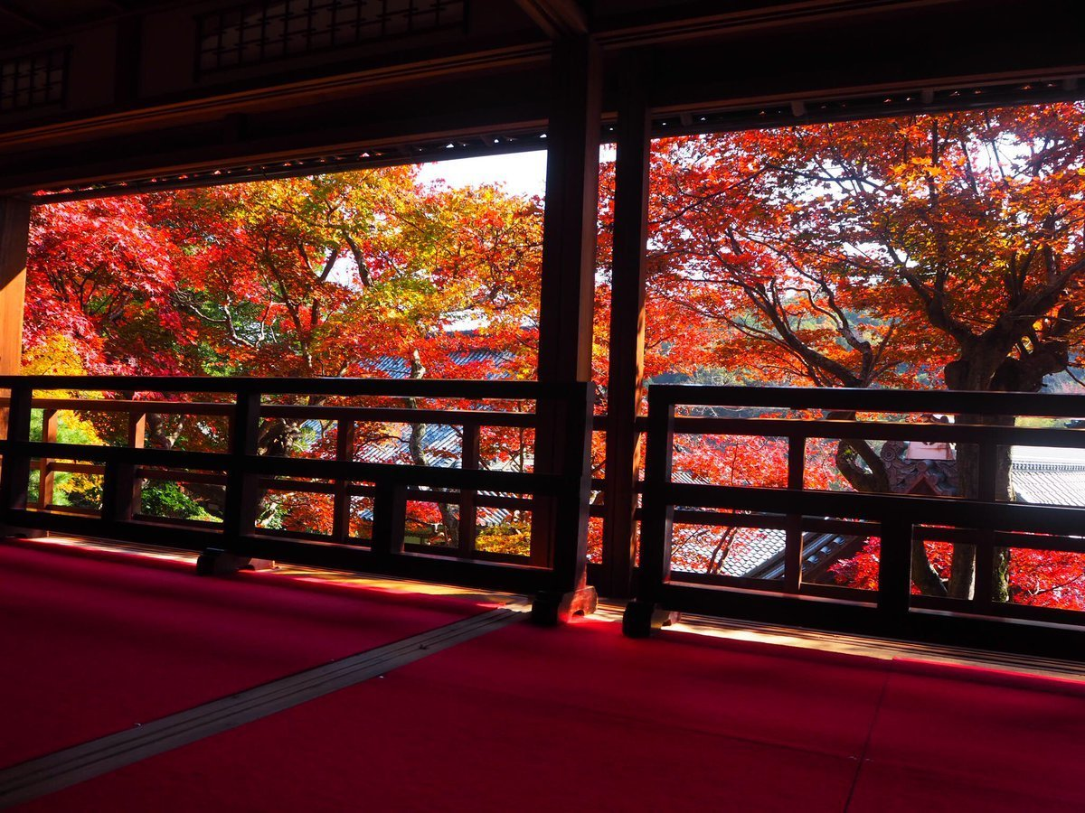 柳谷観音楊谷寺・上書院の紅葉 見頃 2017年11月17日 撮影:MKタクシー