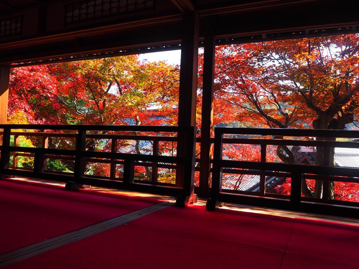 柳谷観音楊谷寺・上書院の紅葉　見頃　2017年11月17日　撮影：MKタクシー