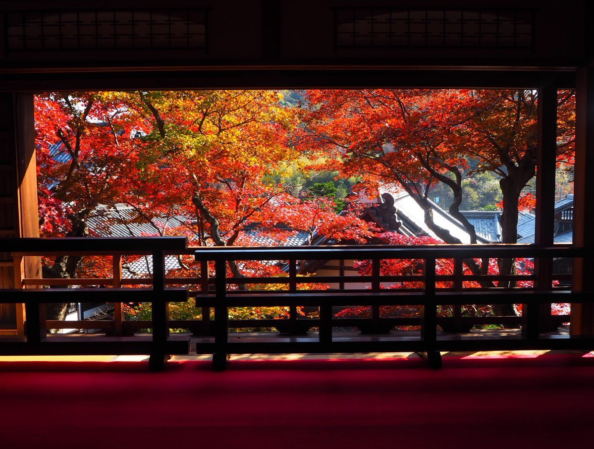 柳谷観音楊谷寺・上書院の紅葉 見頃 2017年11月17日 撮影:MKタクシー