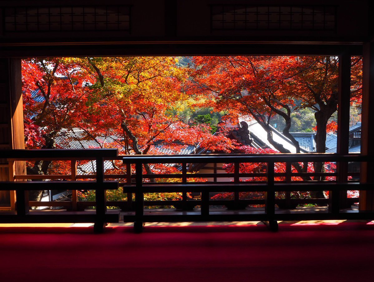 柳谷観音楊谷寺・上書院の紅葉　見頃　2017年11月17日　撮影：MKタクシー