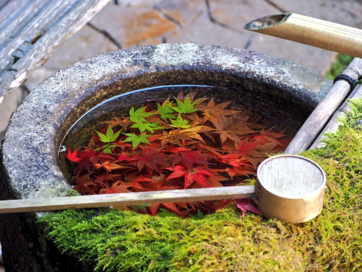 柳谷観音楊谷寺・花手水の紅葉　見頃　2017年11月17日　撮影：MKタクシー