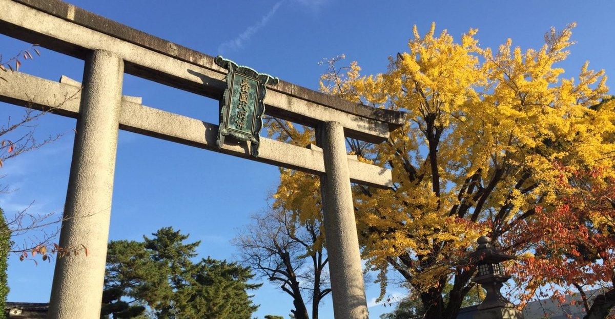 豊国神社のイチョウ　見頃　2016年11月16日　撮影：MKタクシー