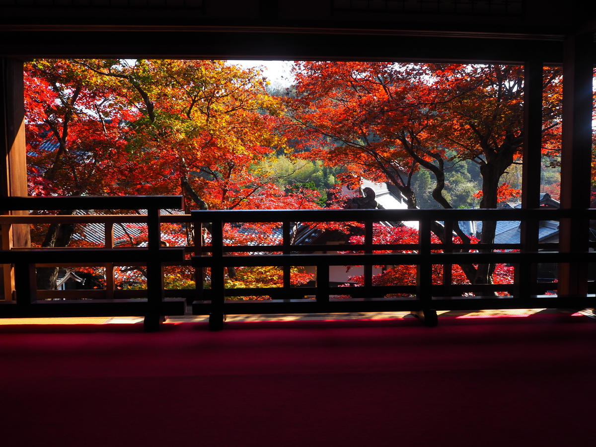 柳谷観音楊谷寺・上書院の紅葉　見頃　2017年11月17日　撮影：MKタクシー