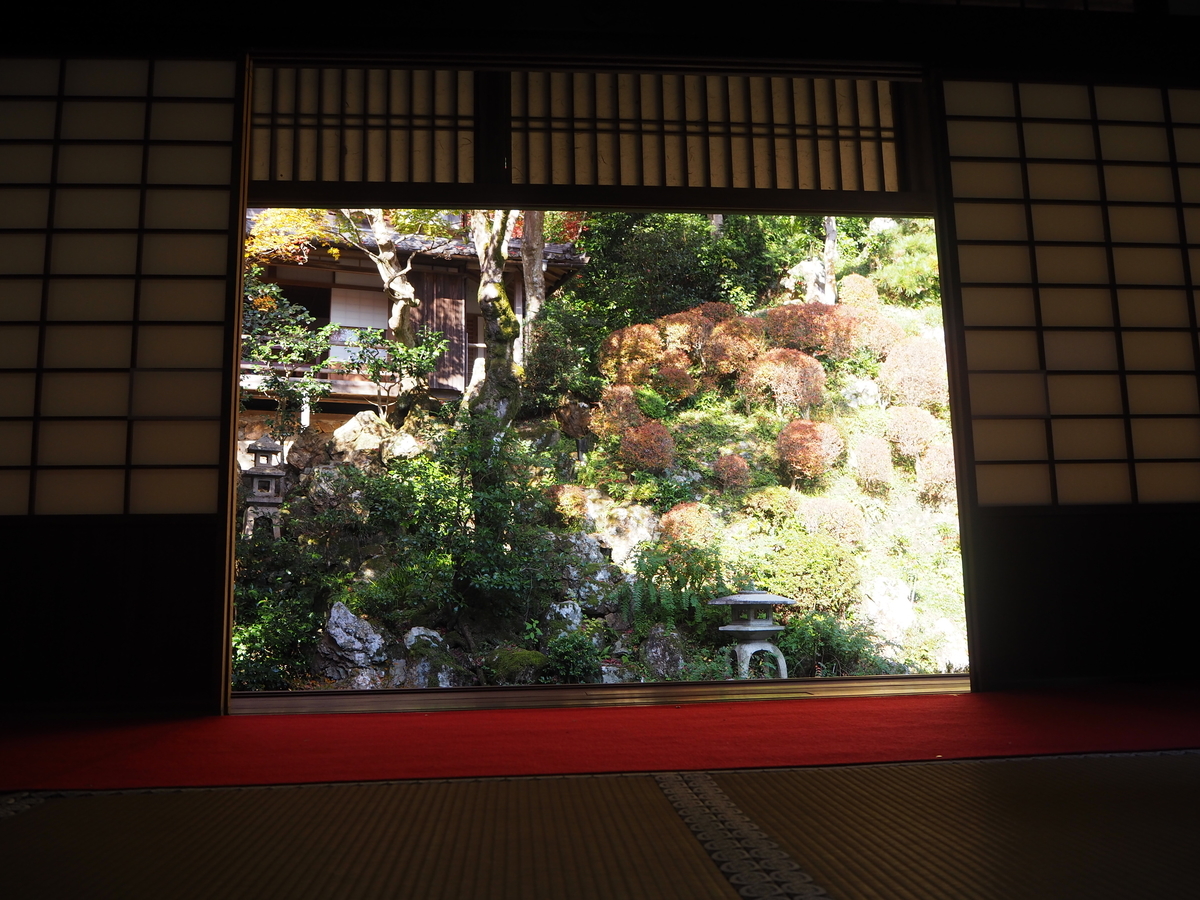 柳谷観音楊谷寺・書院の紅葉　見頃　2017年11月17日　撮影：MKタクシー