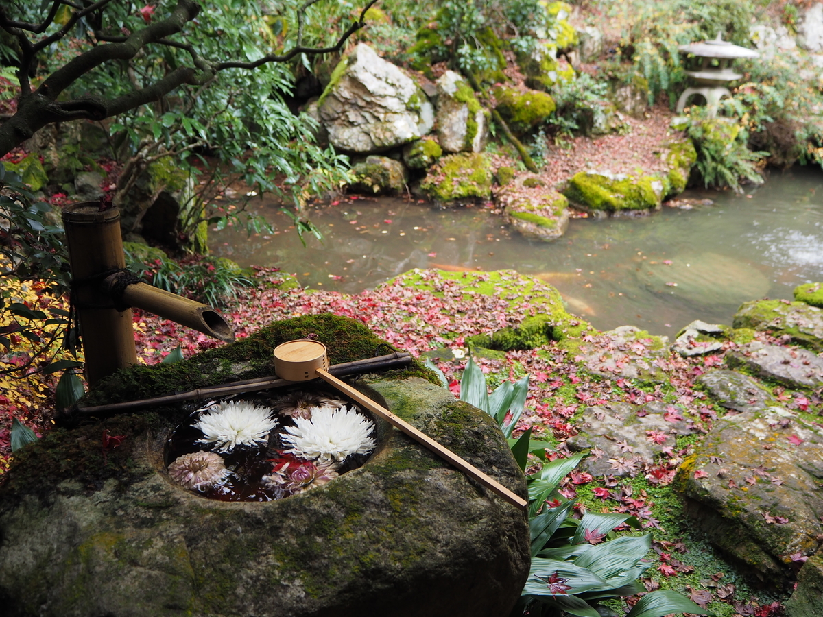 柳谷観音楊谷寺・浄土苑の散紅葉　2018年12月5日　撮影：MKタクシー