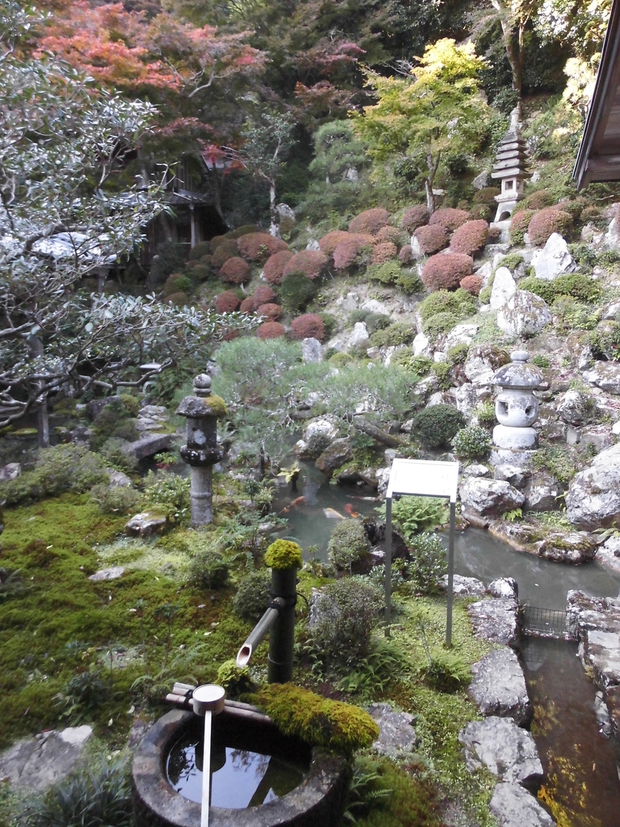 柳谷観音楊谷寺・浄土苑の紅葉　色づきはじめ　2016年11月5日　撮影：MKタクシー