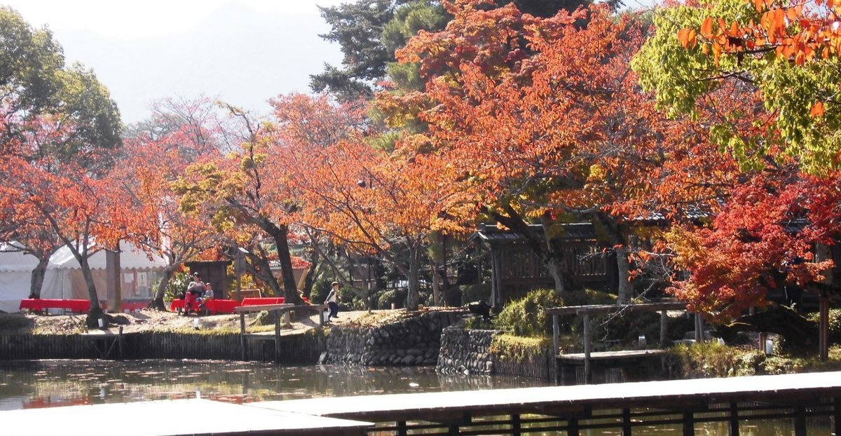 大沢池・ソメイヨシノの紅葉 見頃 2016年11月13日 撮影:MKタクシー