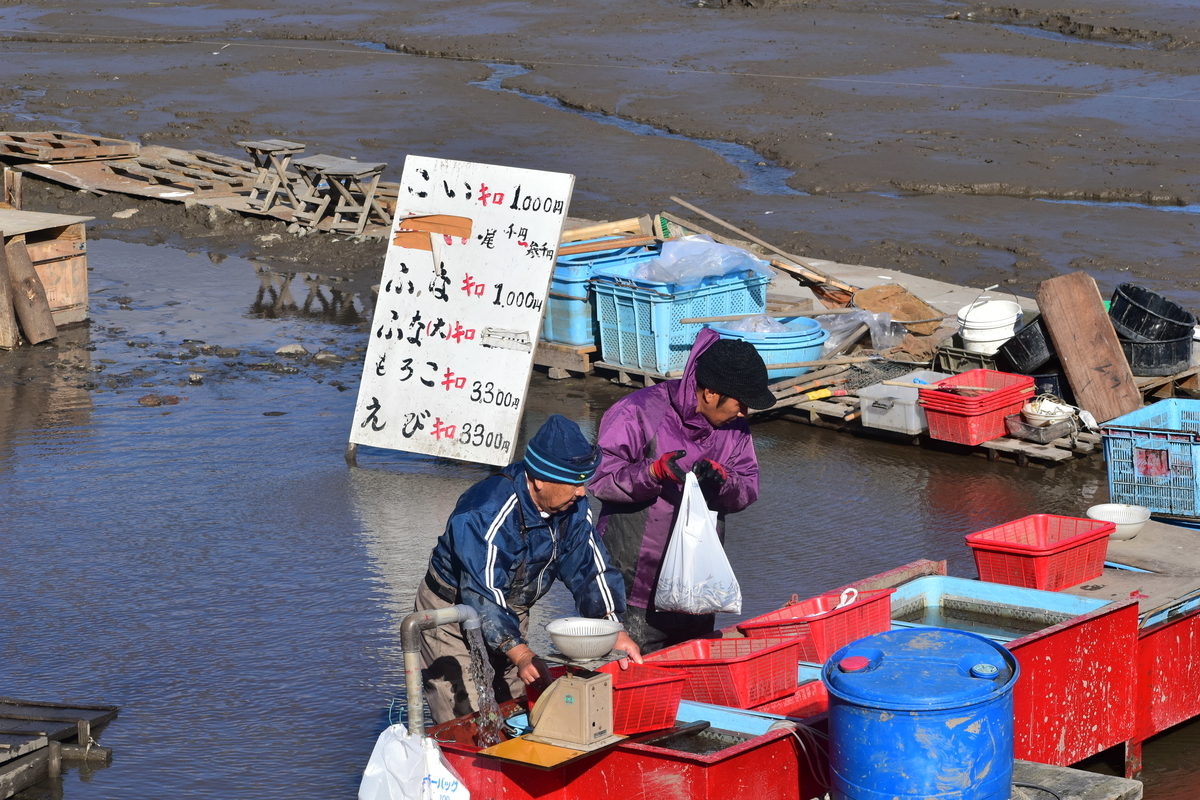 広沢池の鯉上げ 2018年12月8日 撮影:MKタクシー