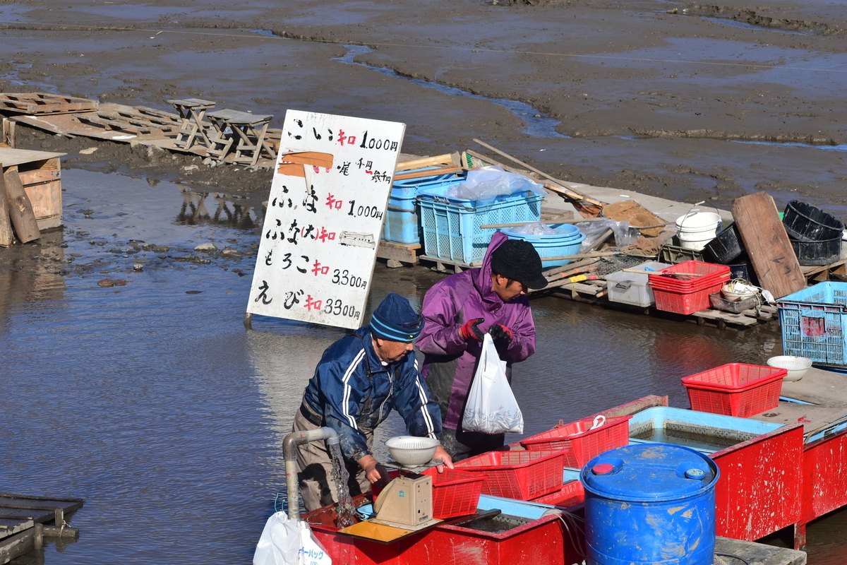 広沢池の鯉上げ　2018年12月8日　撮影：MKタクシー