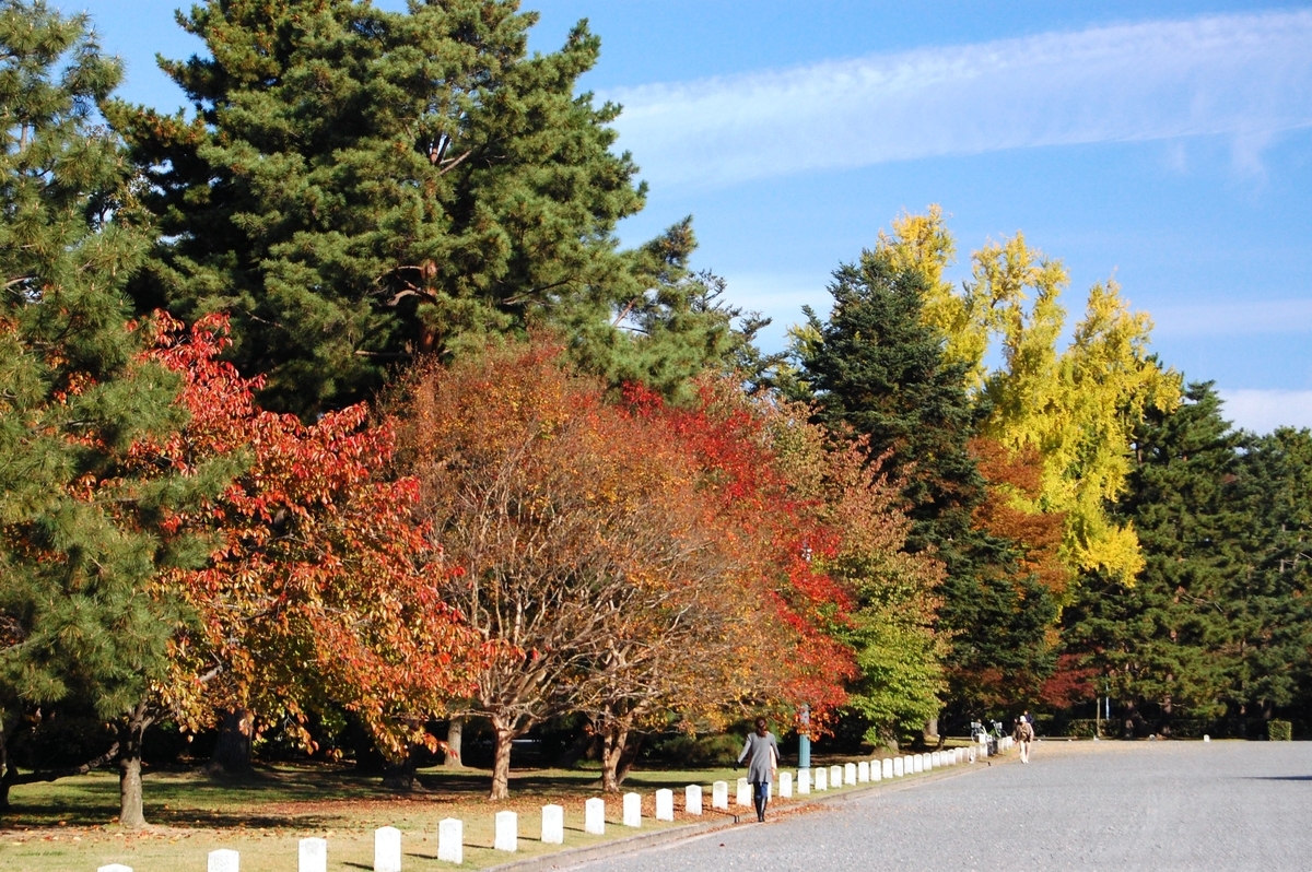 京都御苑の桜紅葉　見頃　2007年11月8日　撮影：MKタクシー