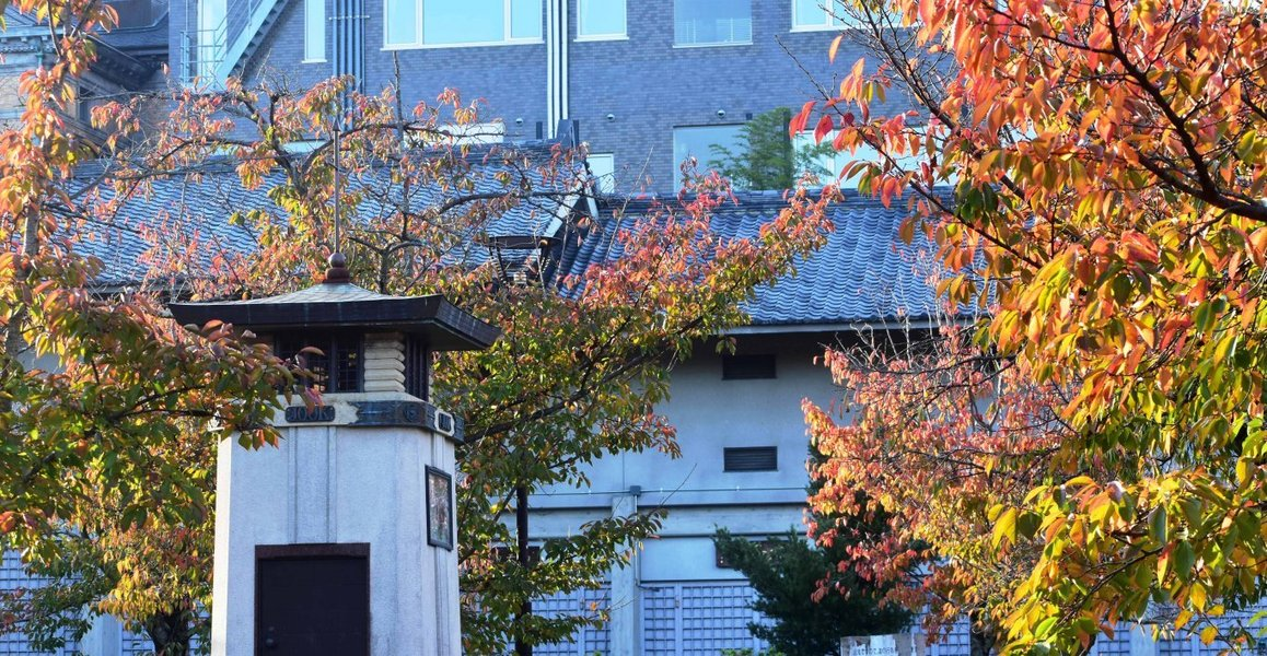 円山公園・ラジオ塔と桜紅葉 見頃近し 2018年10月30日 撮影:MKタクシー