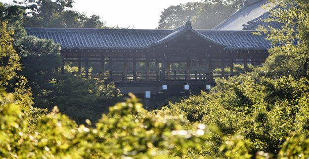 2019年10月9日 臥雲橋より通天橋 青葉 撮影:MKタクシー