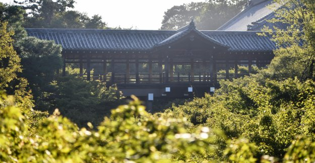 2019年10月9日　臥雲橋より通天橋　青葉　撮影：MKタクシー