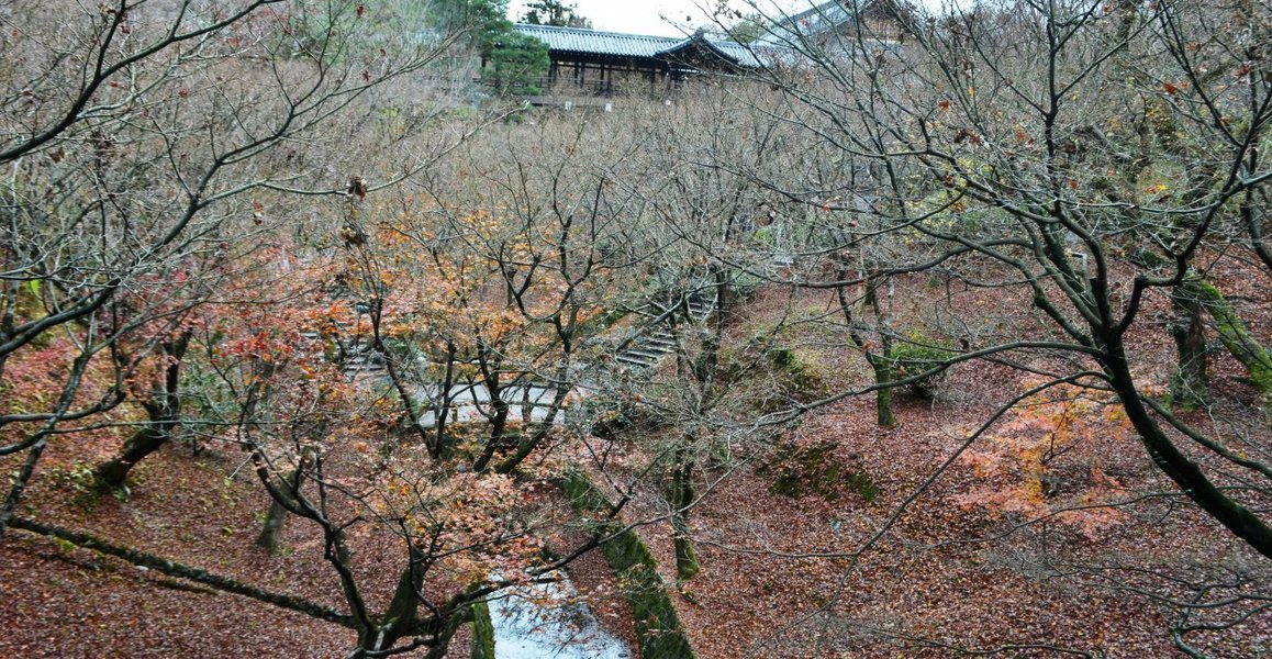 2018年12月15日 洗玉澗より通天橋 落葉 撮影:MKタクシー