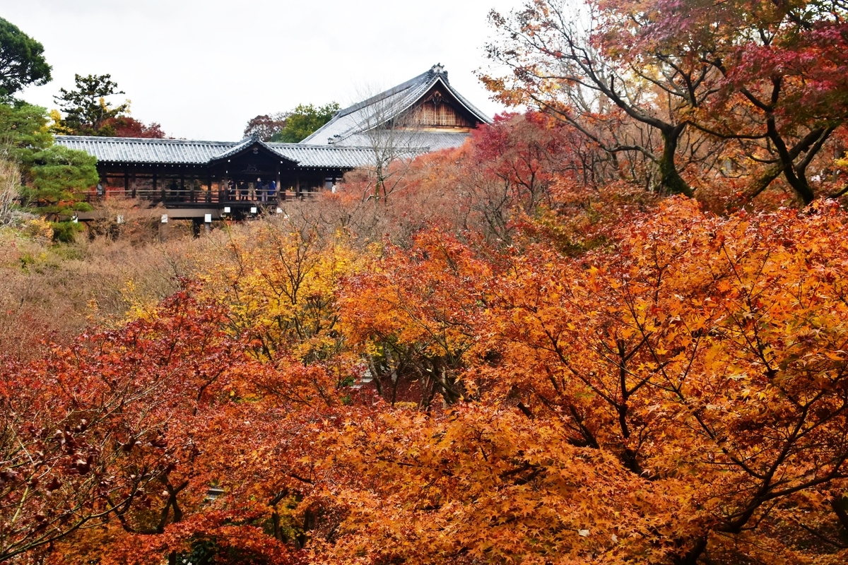 2019年12月6日 臥雲橋より通天橋 散りはじめ 撮影:MKタクシー