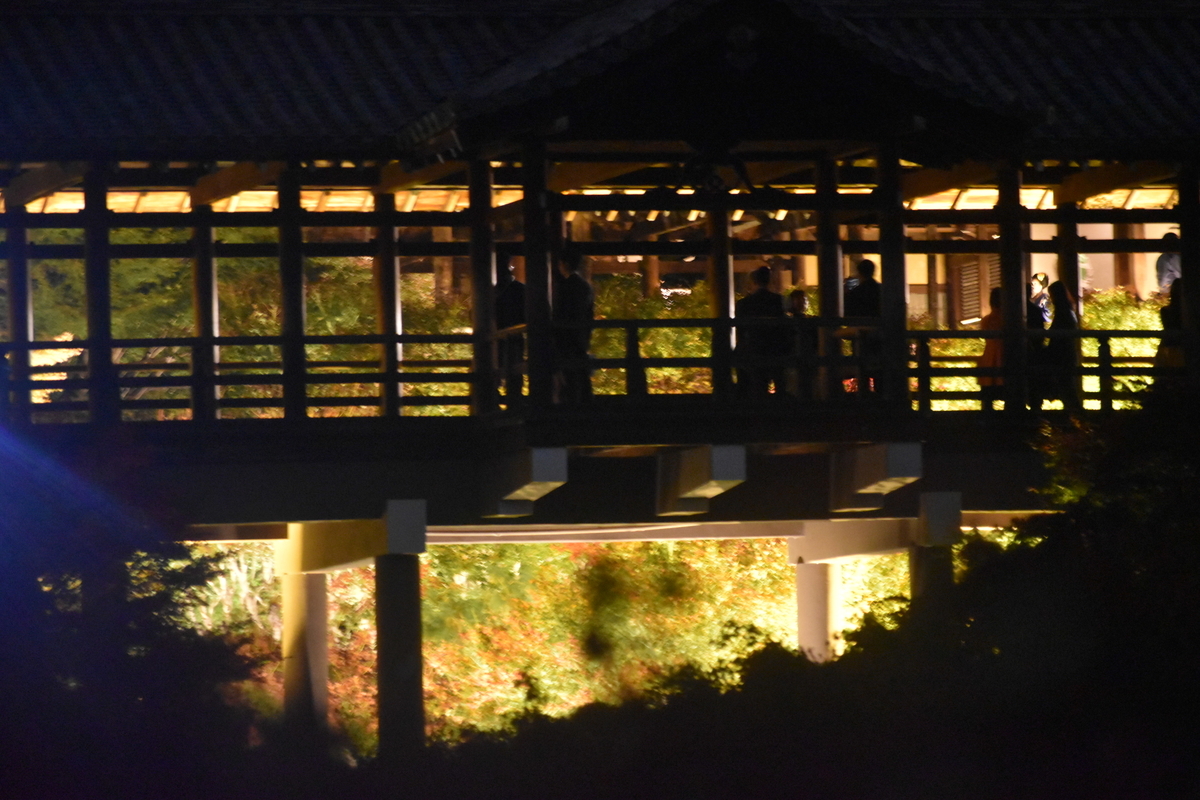 2018年11月20日 限定公開で夜間ライトアップされる通天橋を臥雲橋より 撮影:MKタクシー