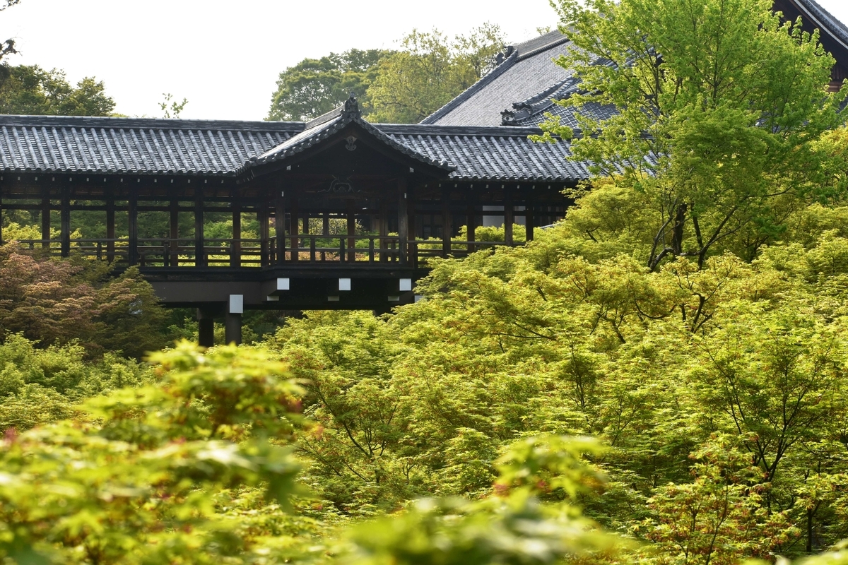 2019年4月19日　臥雲橋より通天橋　撮影：MKタクシー