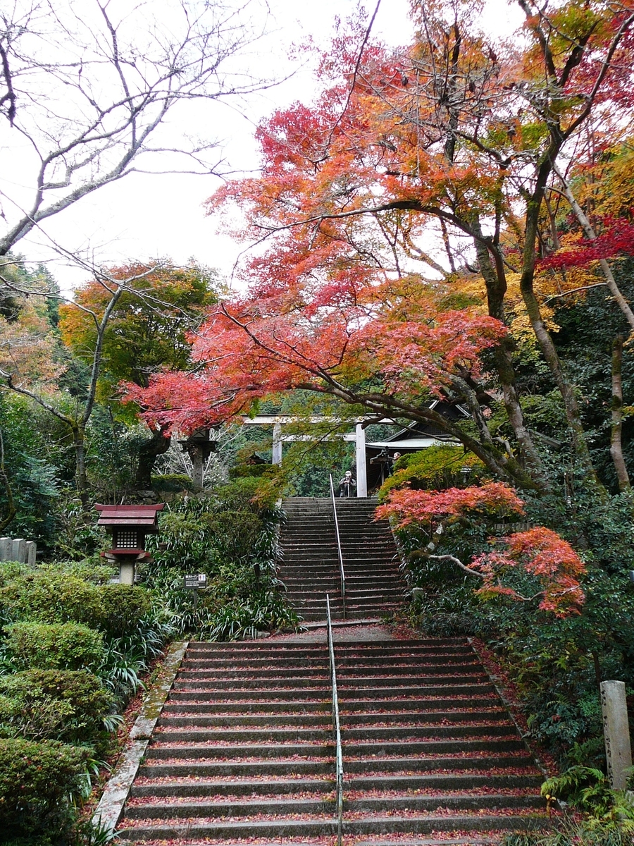 日向大神宮の紅葉 見頃 2006年12月3日 撮影:MKタクシー
