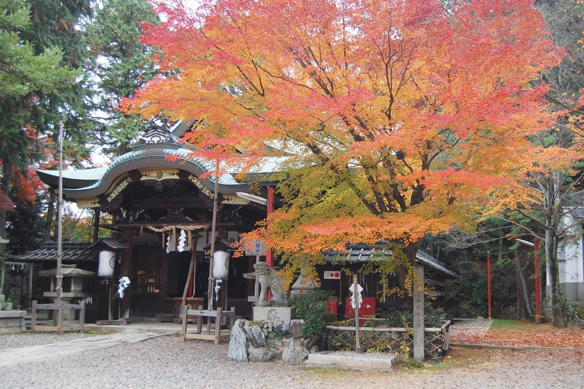 粟田神社・本殿の紅葉 見頃 2007年11月29日 撮影:MKタクシー