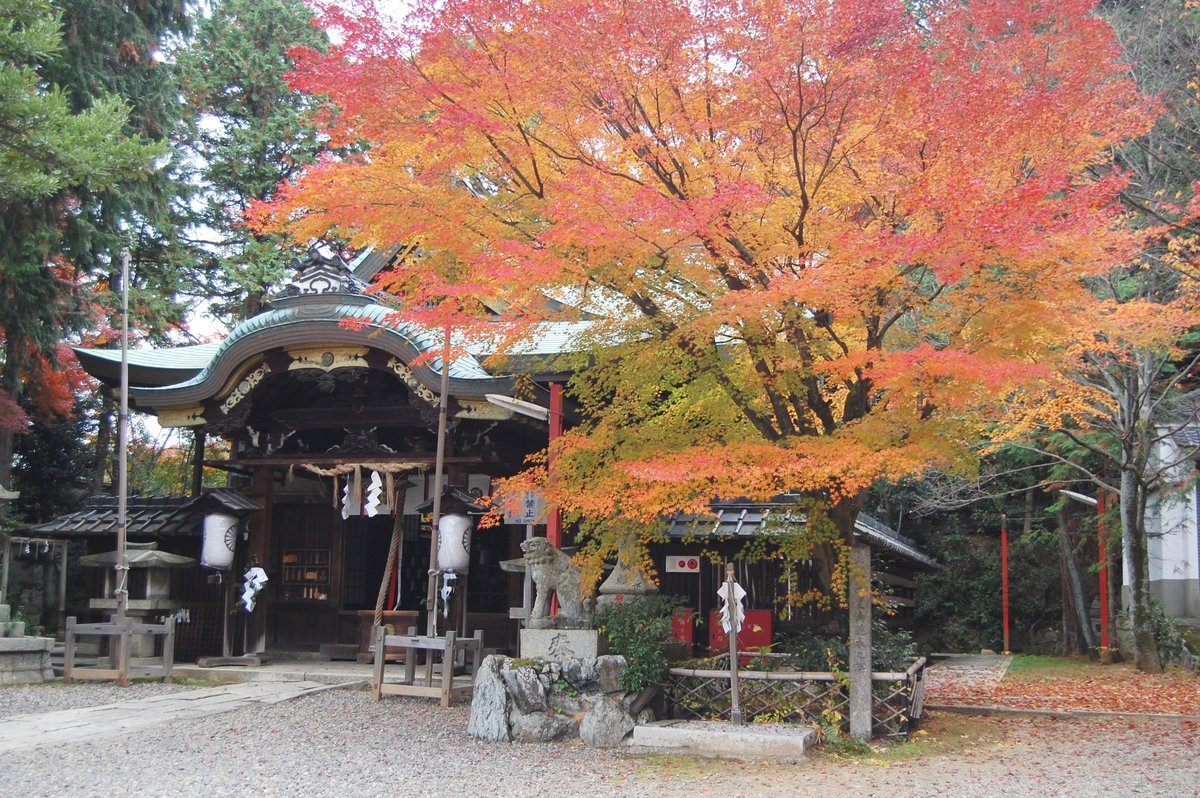 粟田神社・本殿の紅葉　見頃　2007年11月29日　撮影：MKタクシー