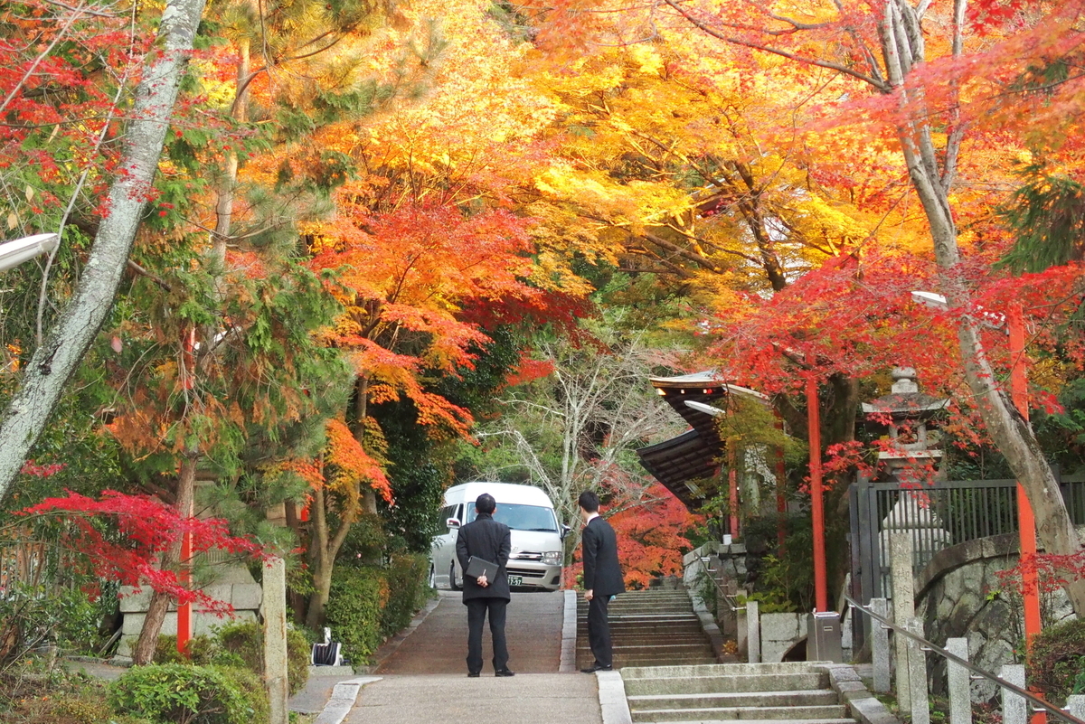 粟田神社・参道の紅葉　見頃過ぎ　2015年12月9日　撮影：MKタクシー