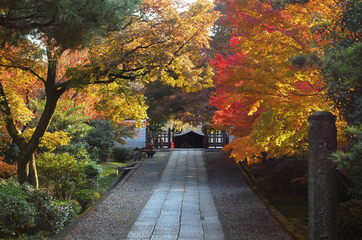 養源院・参道の紅葉 見頃 2007年11月24日 撮影:MKタクシー