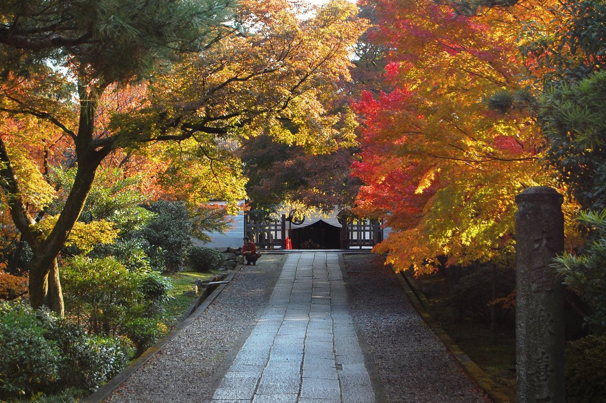 養源院・参道の紅葉　見頃　2007年11月24日　撮影：MKタクシー