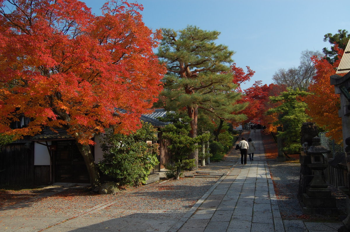 養源院・参道の紅葉 見頃 2007年12月2日 撮影:MKタクシー