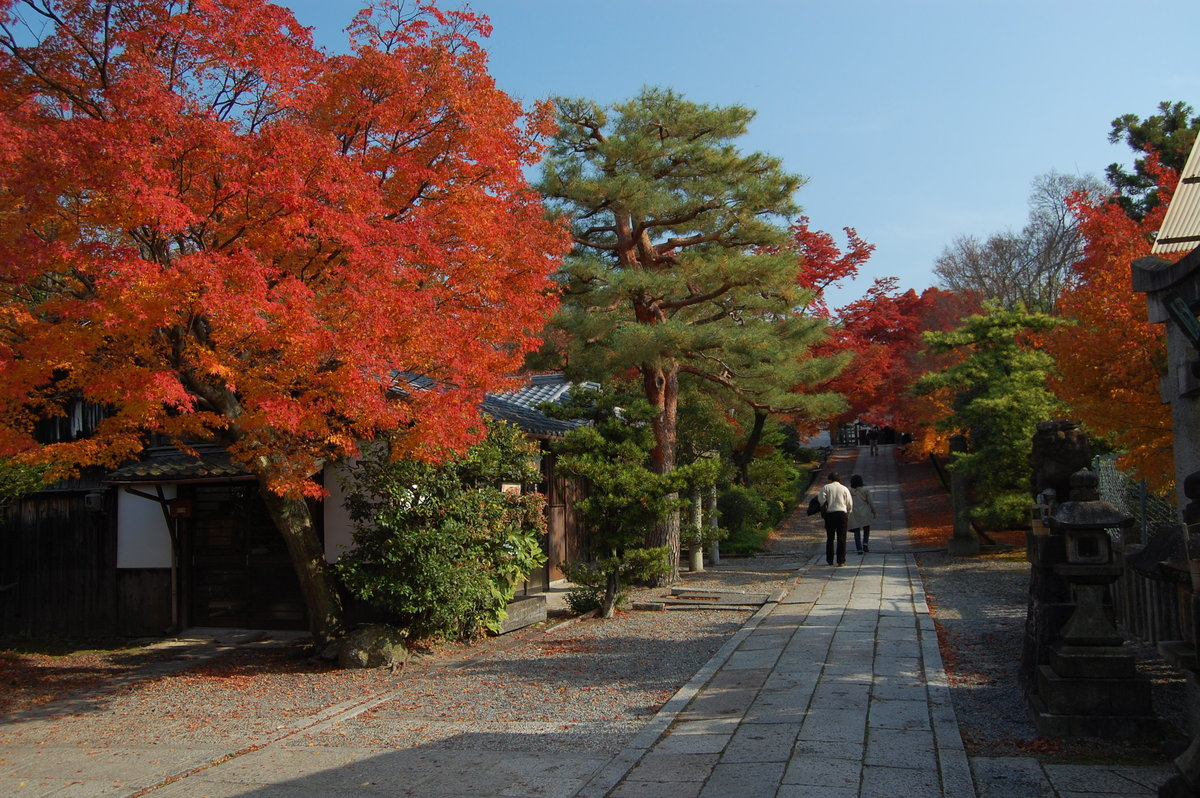 養源院・参道の紅葉　見頃　2007年12月2日　撮影：MKタクシー