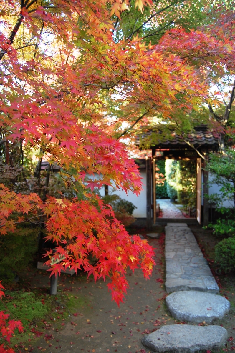 金福寺の紅葉 2007年11月18日 見頃 撮影:MKタクシー