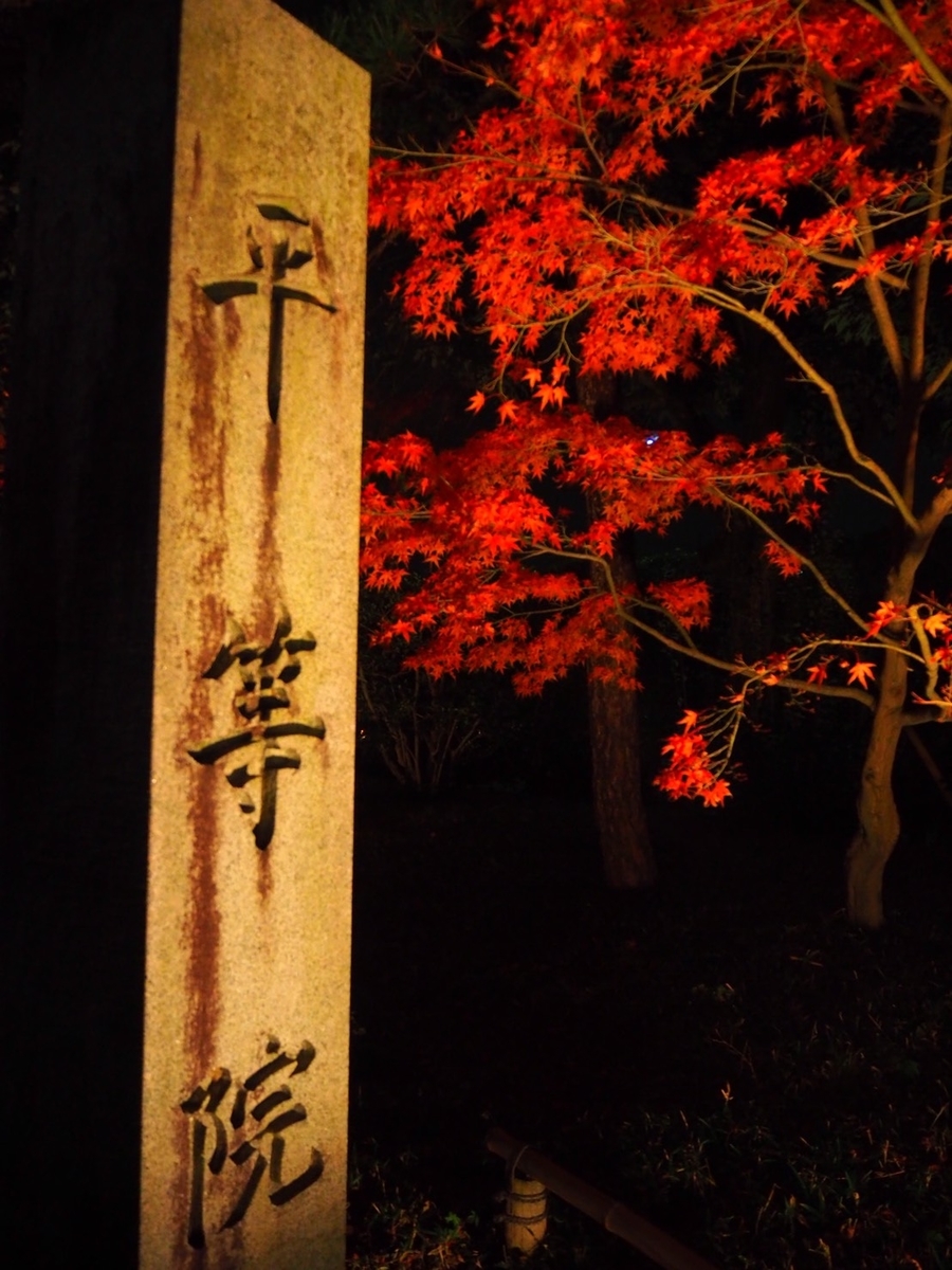 平等院の紅葉ライトアップ 見頃 2017年11月26日 撮影:MKタクシー