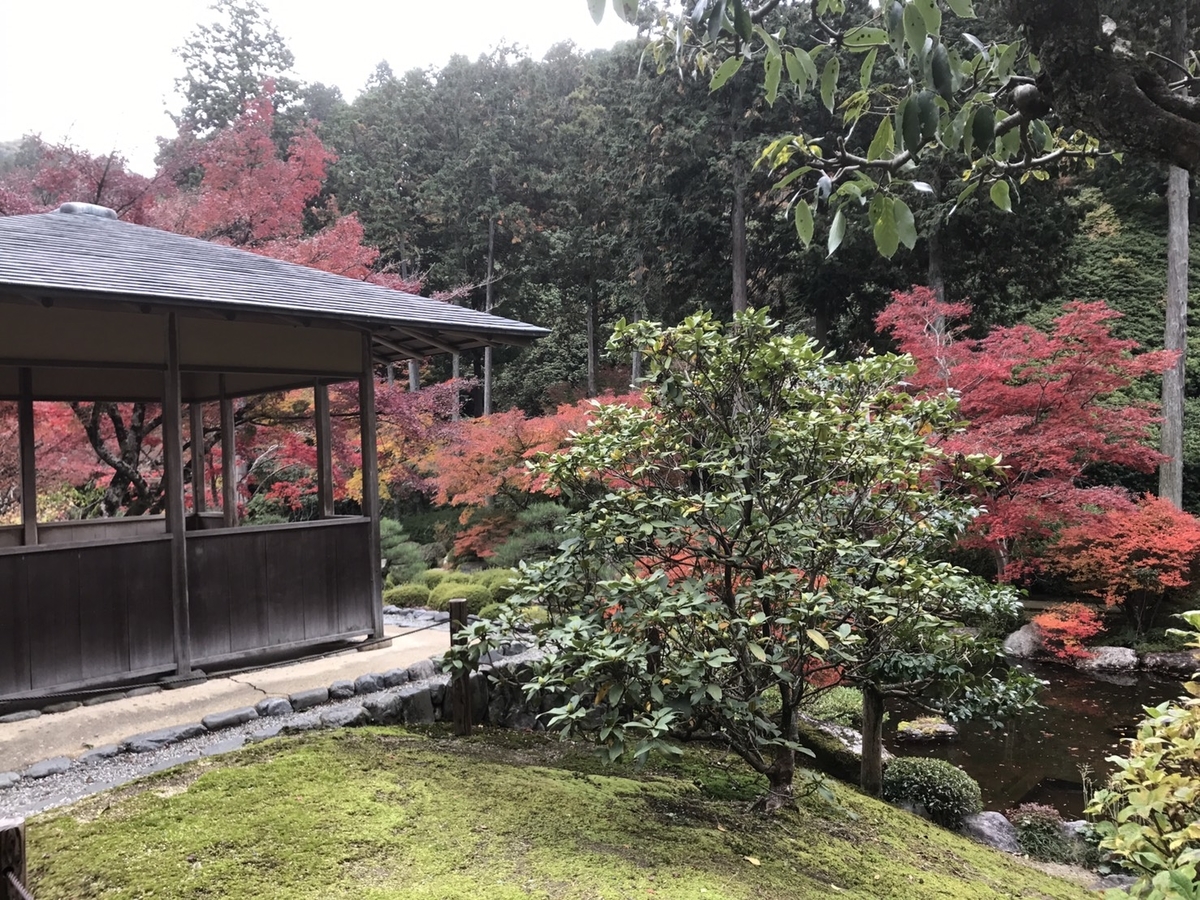 三室戸寺の紅葉 見頃 2017年11月20日 撮影:MKタクシー