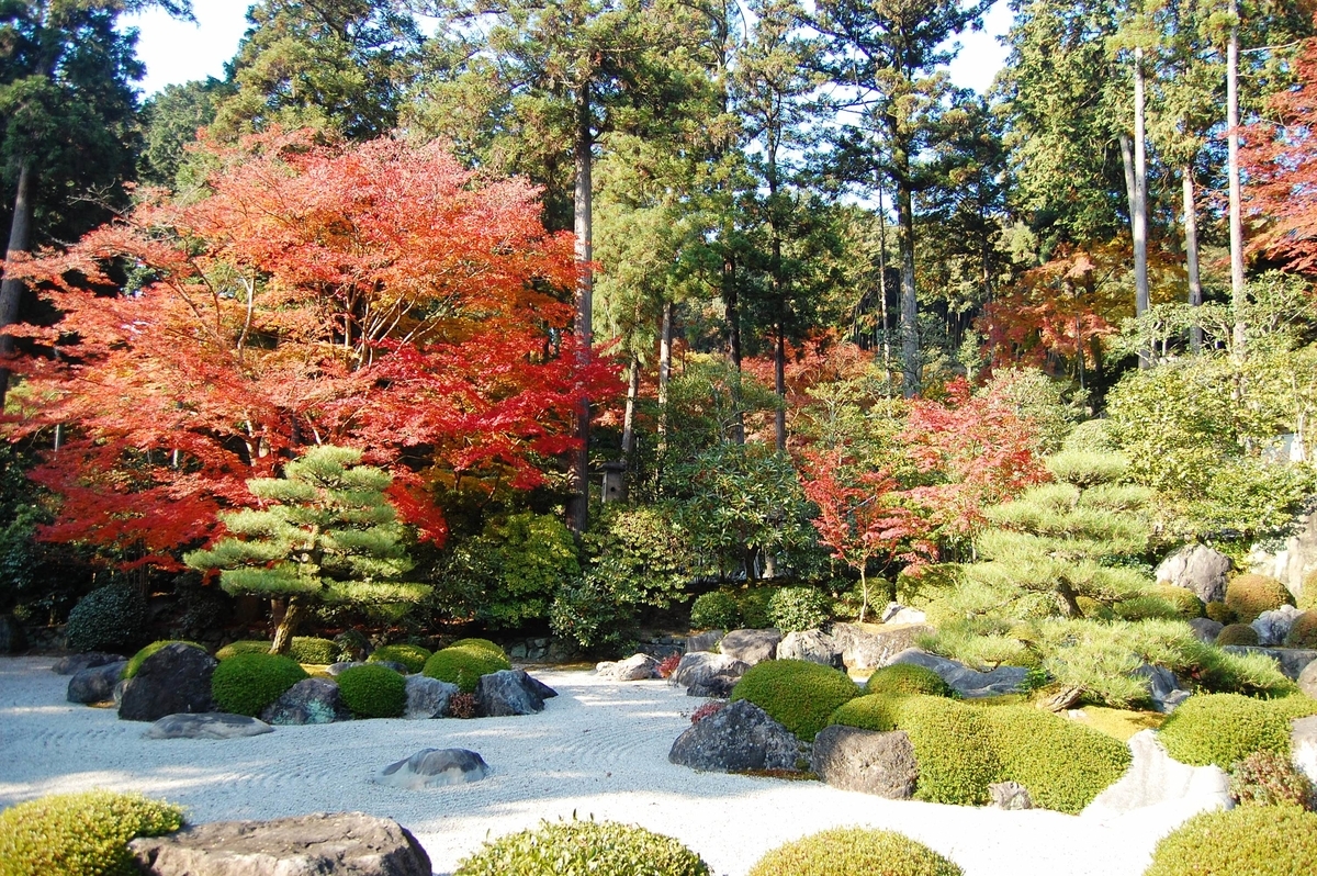 三室戸寺・石庭の紅葉　見頃　2007年11月24日　撮影：MKタクシー