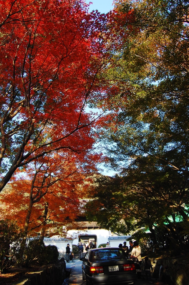 興聖寺・琴坂の紅葉 見頃 2007年11月24日 撮影:MKタクシー