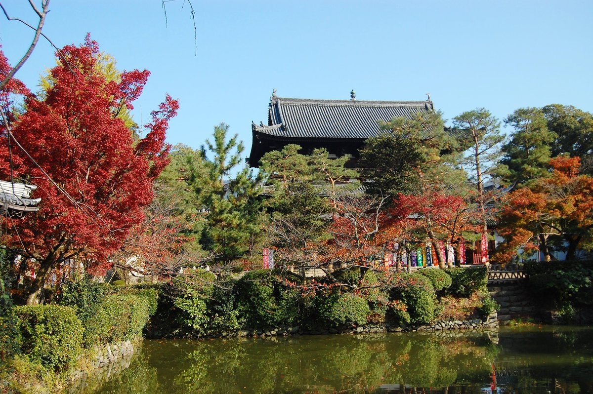 萬福寺・山門の紅葉 見頃 2007年11月24日 撮影:MKタクシー