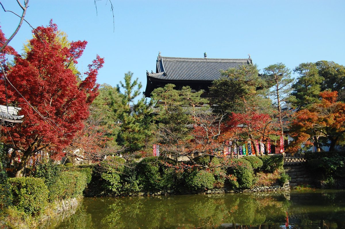 萬福寺・山門の紅葉　見頃　2007年11月24日　撮影：MKタクシー