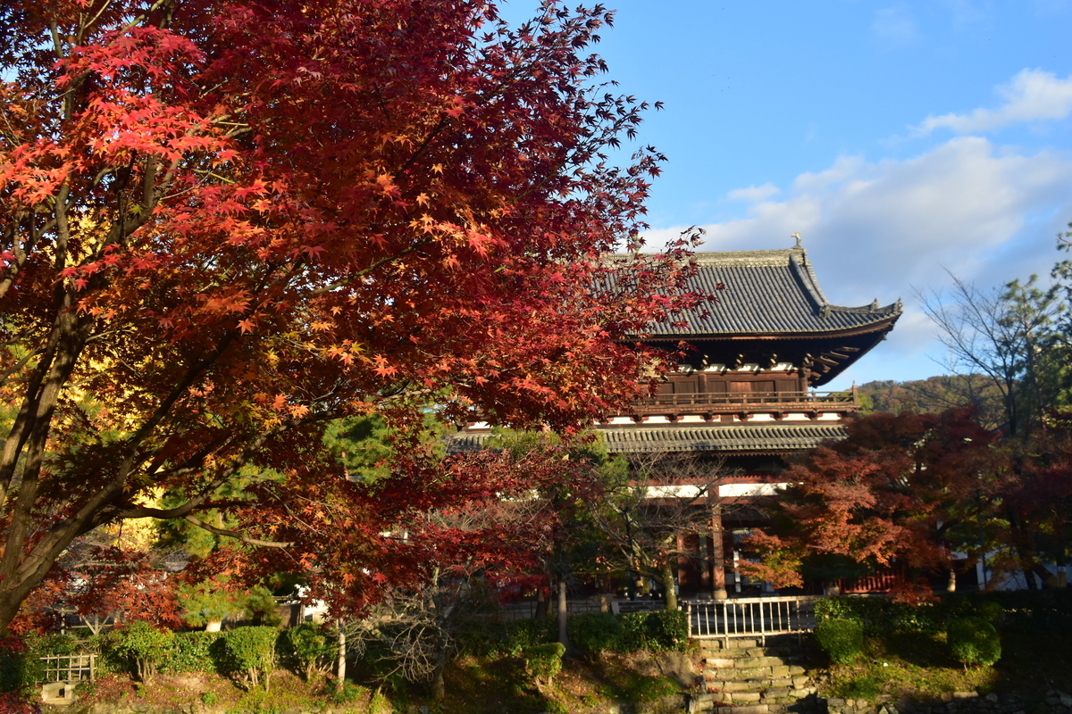 萬福寺・山門の紅葉 見頃 2019年11月30日 撮影:MKタクシー