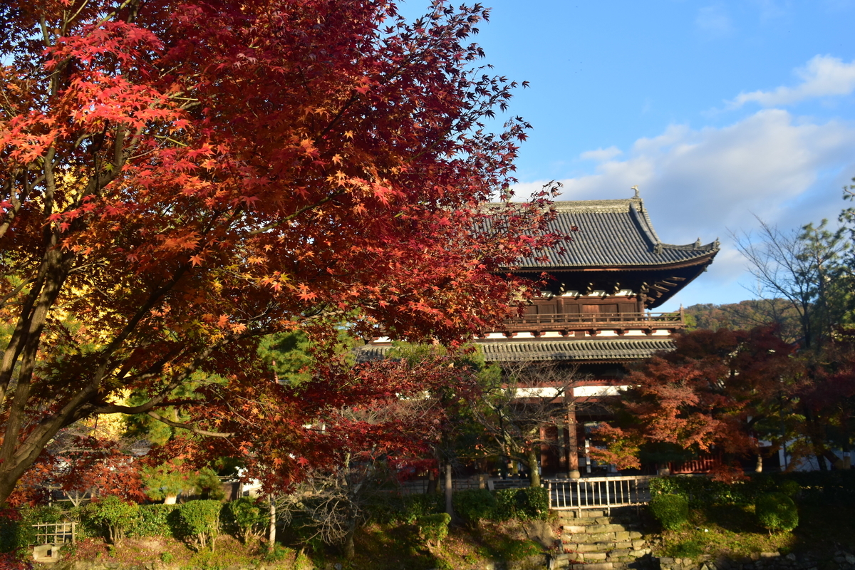 萬福寺・山門の紅葉　見頃　2019年11月30日　撮影：MKタクシー